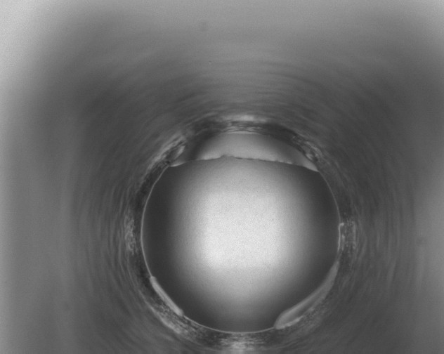 X0000081470564200701191809