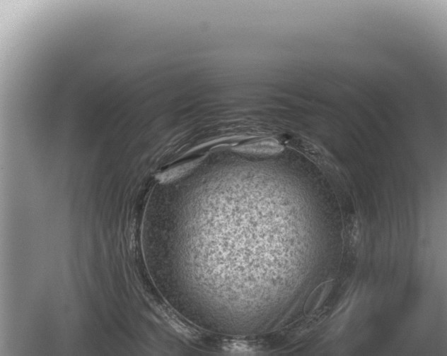 X0000081470565200701191809