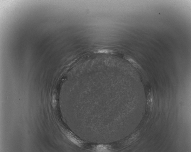 X0000081470566200701191809