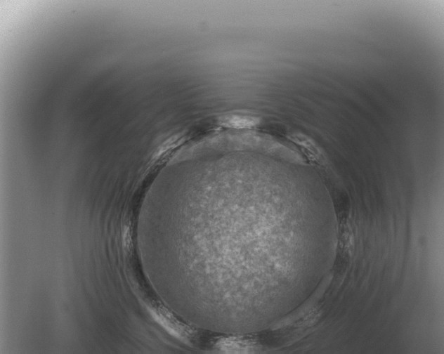 X0000081470568200701191809