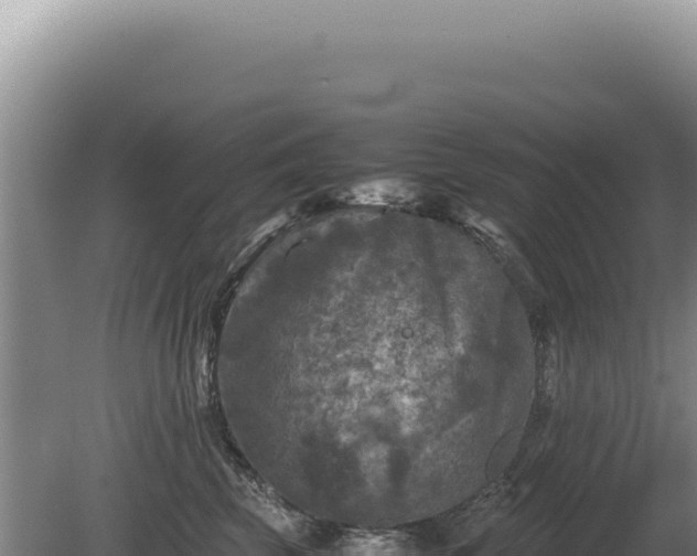 X0000081470569200701191809