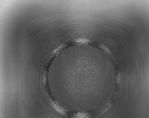 X0000081470570200701191809