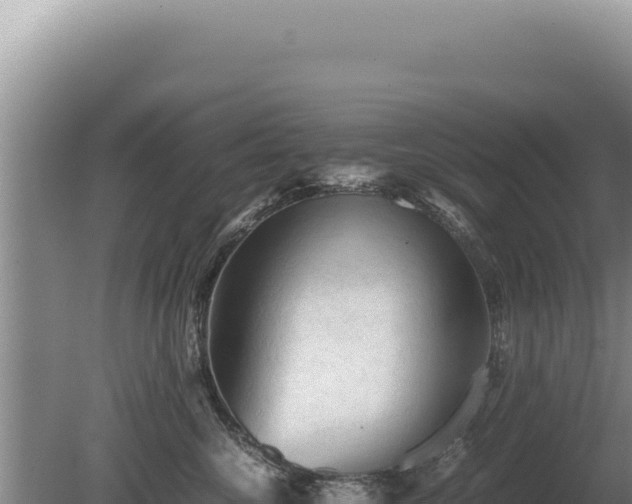 X0000081470572200701191809