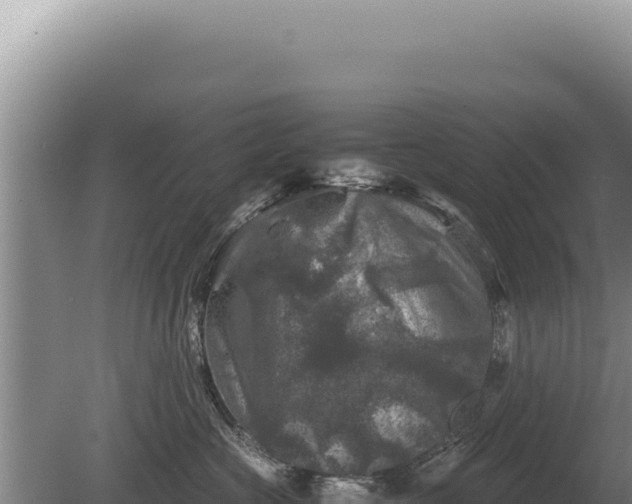 X0000081470573200701191809