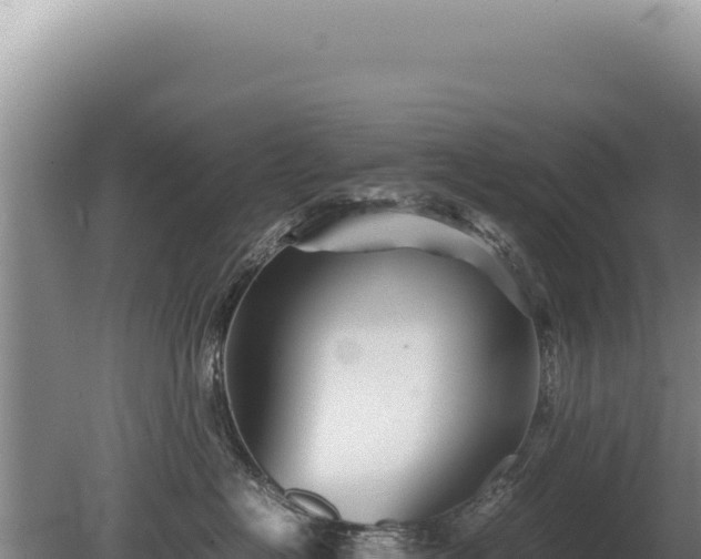 X0000081470574200701191809