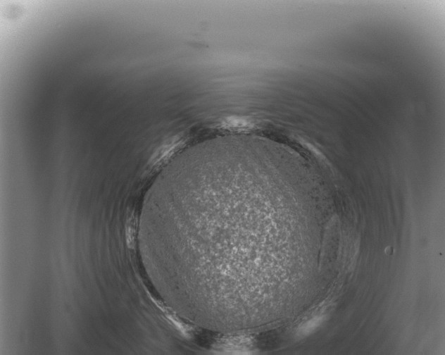 X0000081470576200701191809