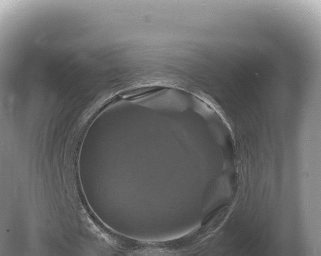 X0000081470577200701191808