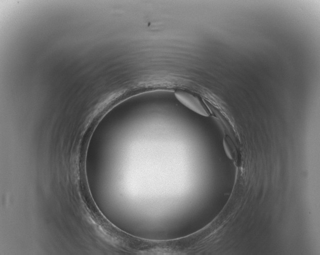 X0000081470578200701191808