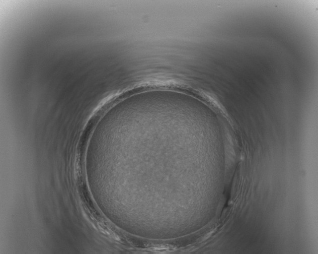 X0000081470579200701191808