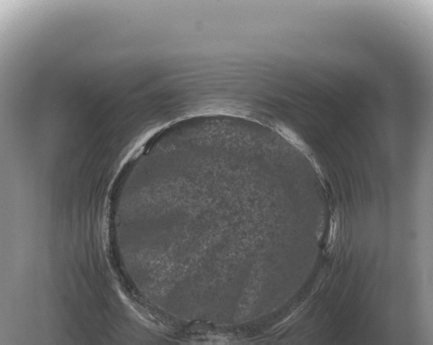 X0000081470580200701191808