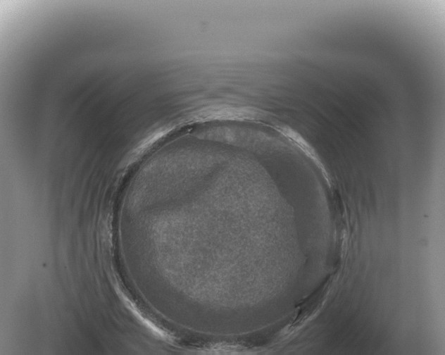 X0000081470581200701191808