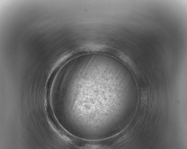 X0000081470582200701191808