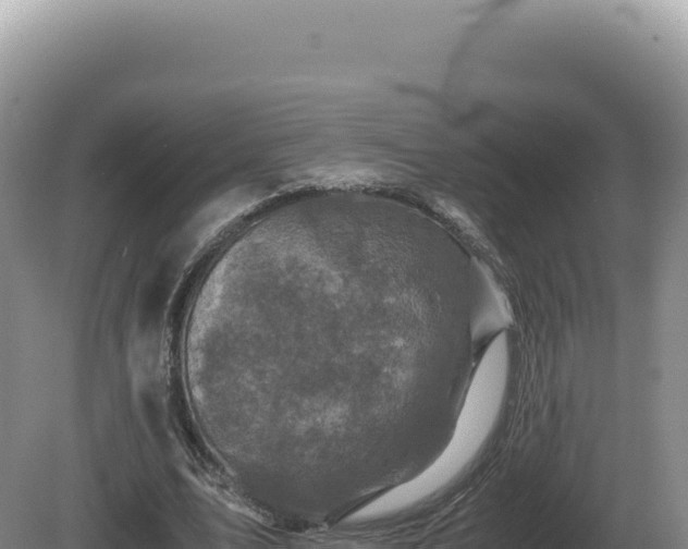 X0000081470583200701191808