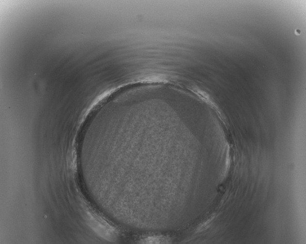 X0000081470584200701191808