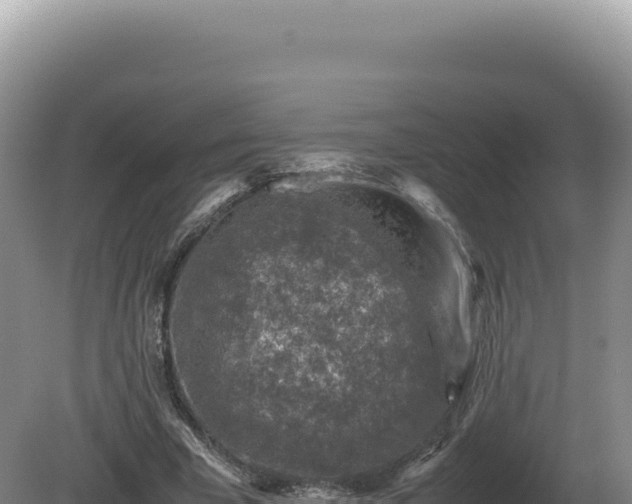 X0000081470585200701191808