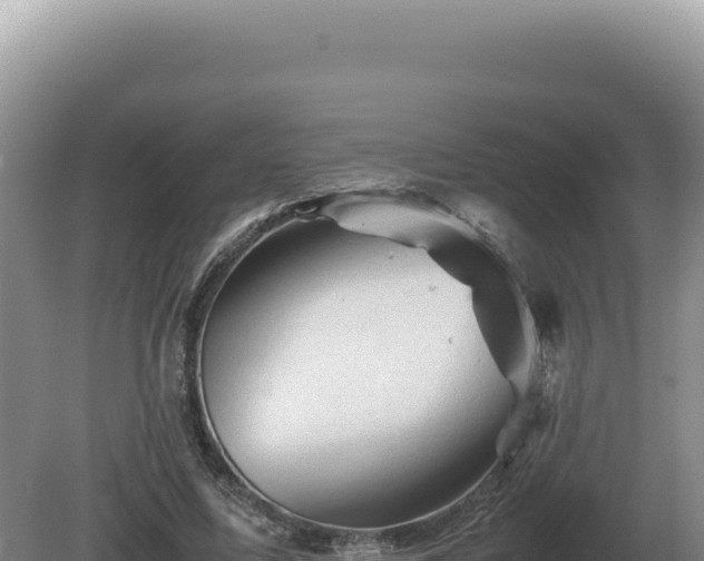 X0000081470587200701191808