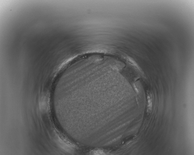 X0000081470588200701191808