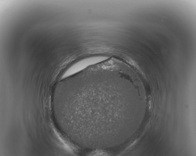 X0000081470589200701191808