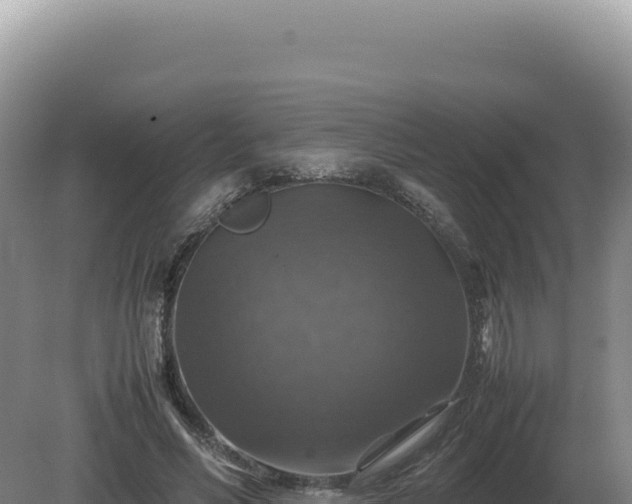 X0000081470590200701191808