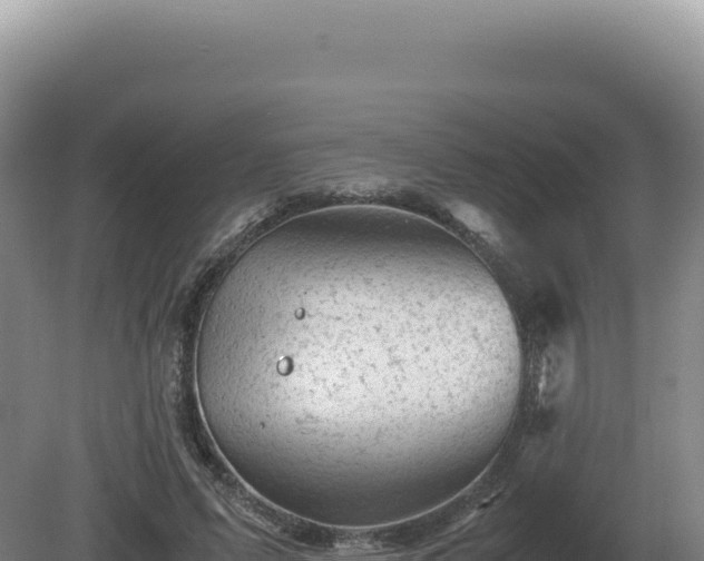 X0000081470591200701191808