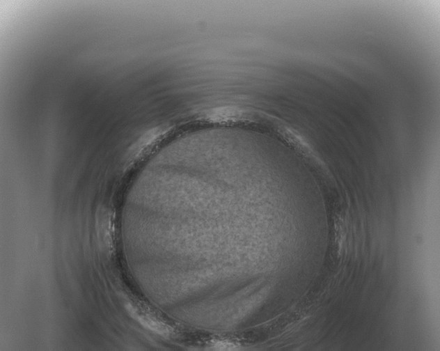 X0000081470592200701191808