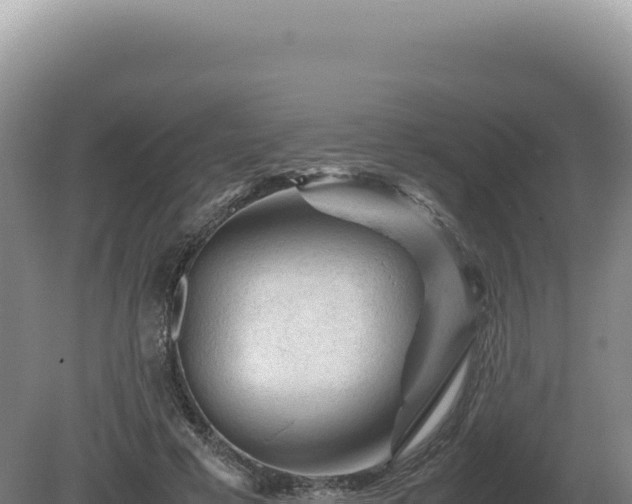 X0000081470593200701191808