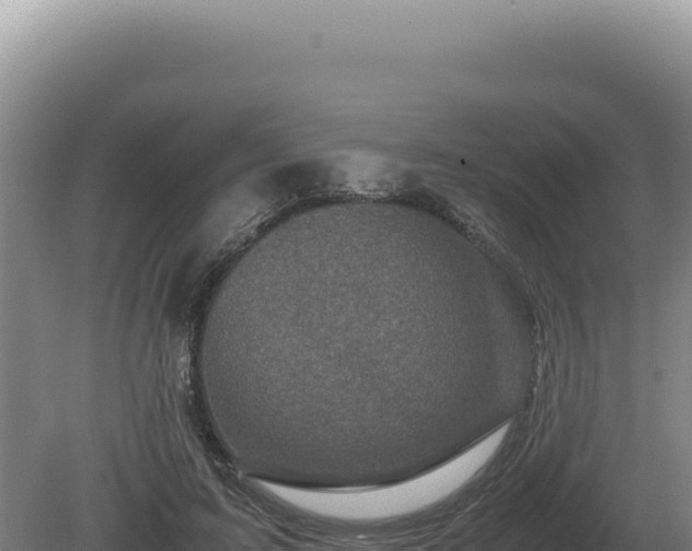 X0000081470595200701191808