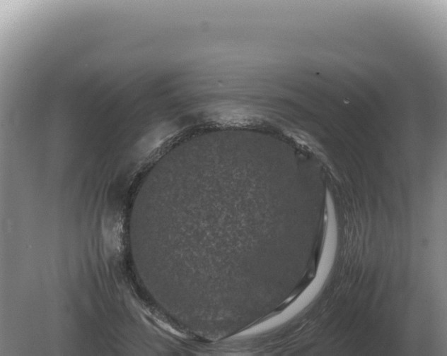 X0000081470596200701191808