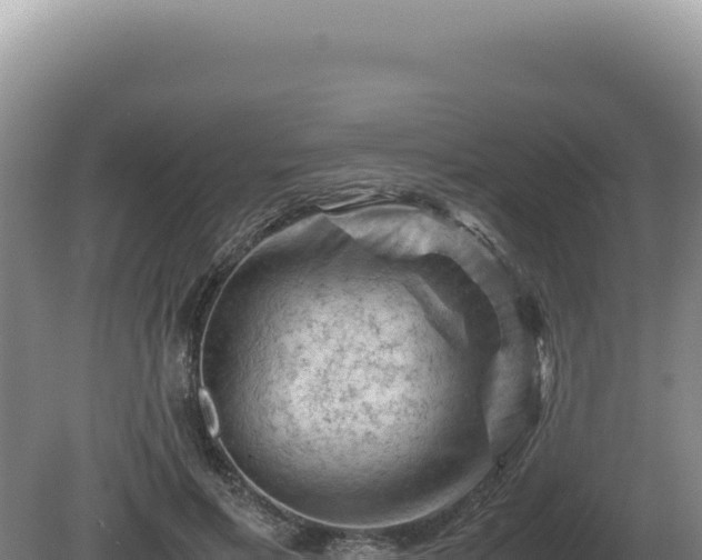 X0000081470597200701191808