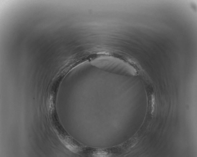 X0000081470598200701191808