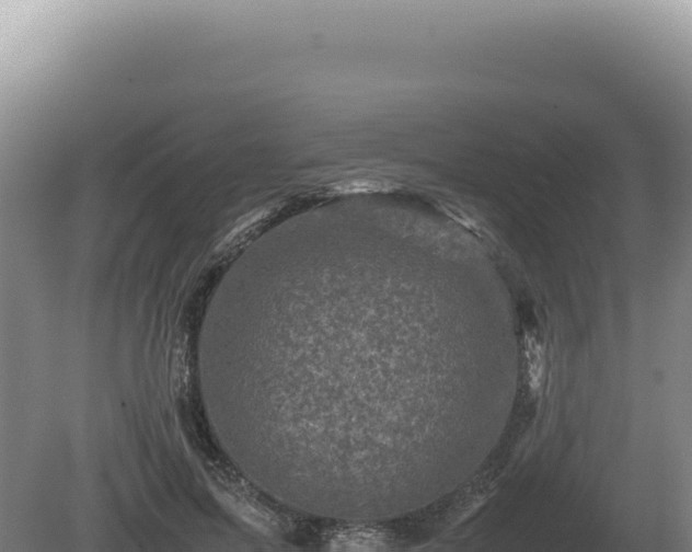 X0000081470599200701191808