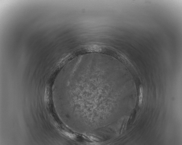 X0000081470600200701191808