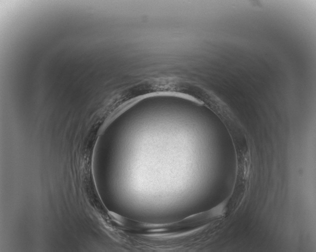 X0000081470601200701191808