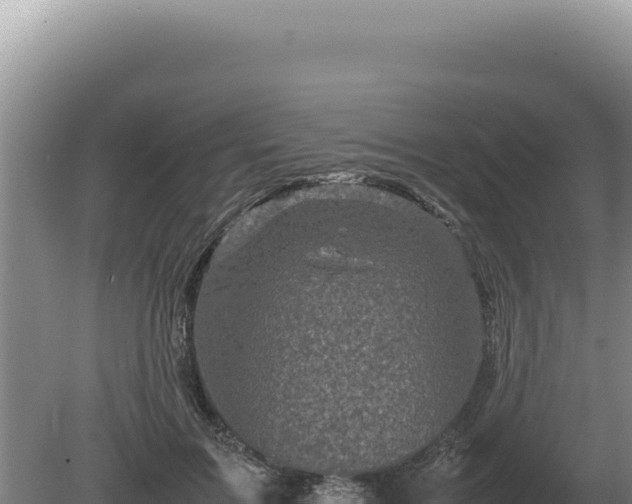 X0000081470603200701191808