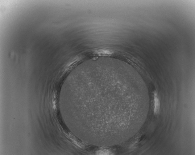 X0000081470604200701191808