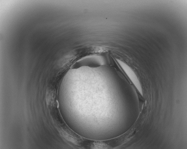 X0000081470605200701191808