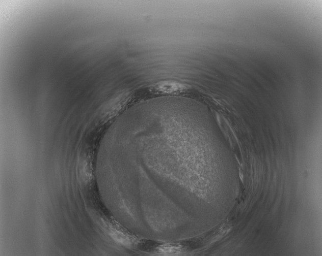 X0000081470606200701191808