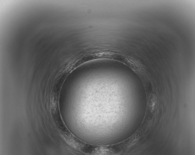 X0000081470607200701191807