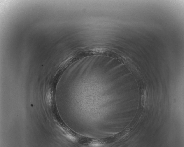 X0000081470608200701191807