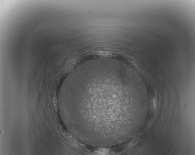 X0000081470609200701191807