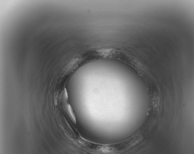 X0000081470611200701191807