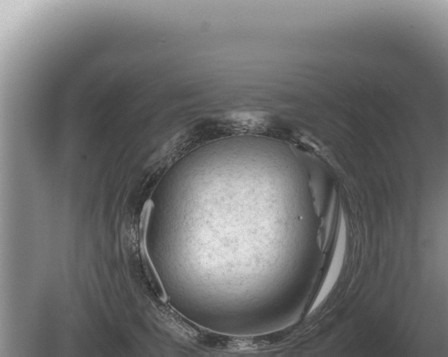 X0000081470613200701191807