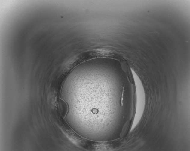 X0000081470615200701191807