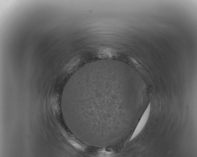 X0000081470616200701191807