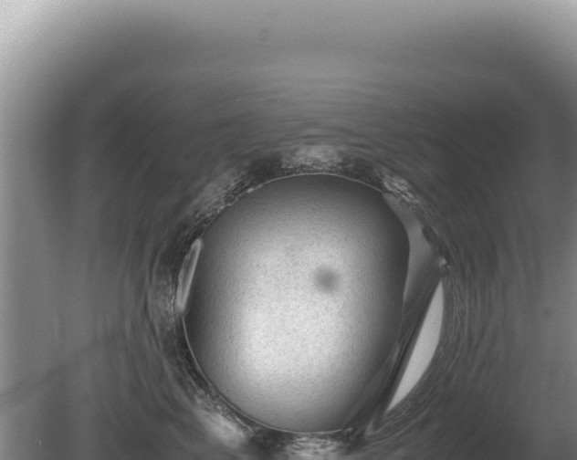 X0000081470617200701191807