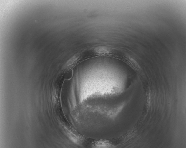 X0000081470618200701191807