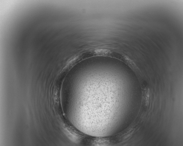 X0000081470619200701191807