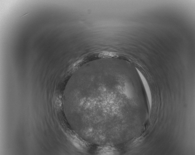 X0000081470621200701191807