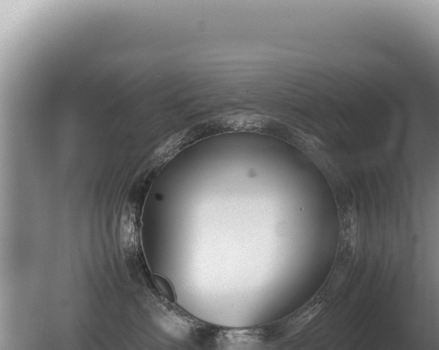 X0000081470622200701191807