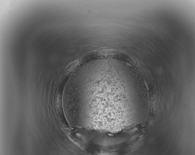 X0000081470623200701191807